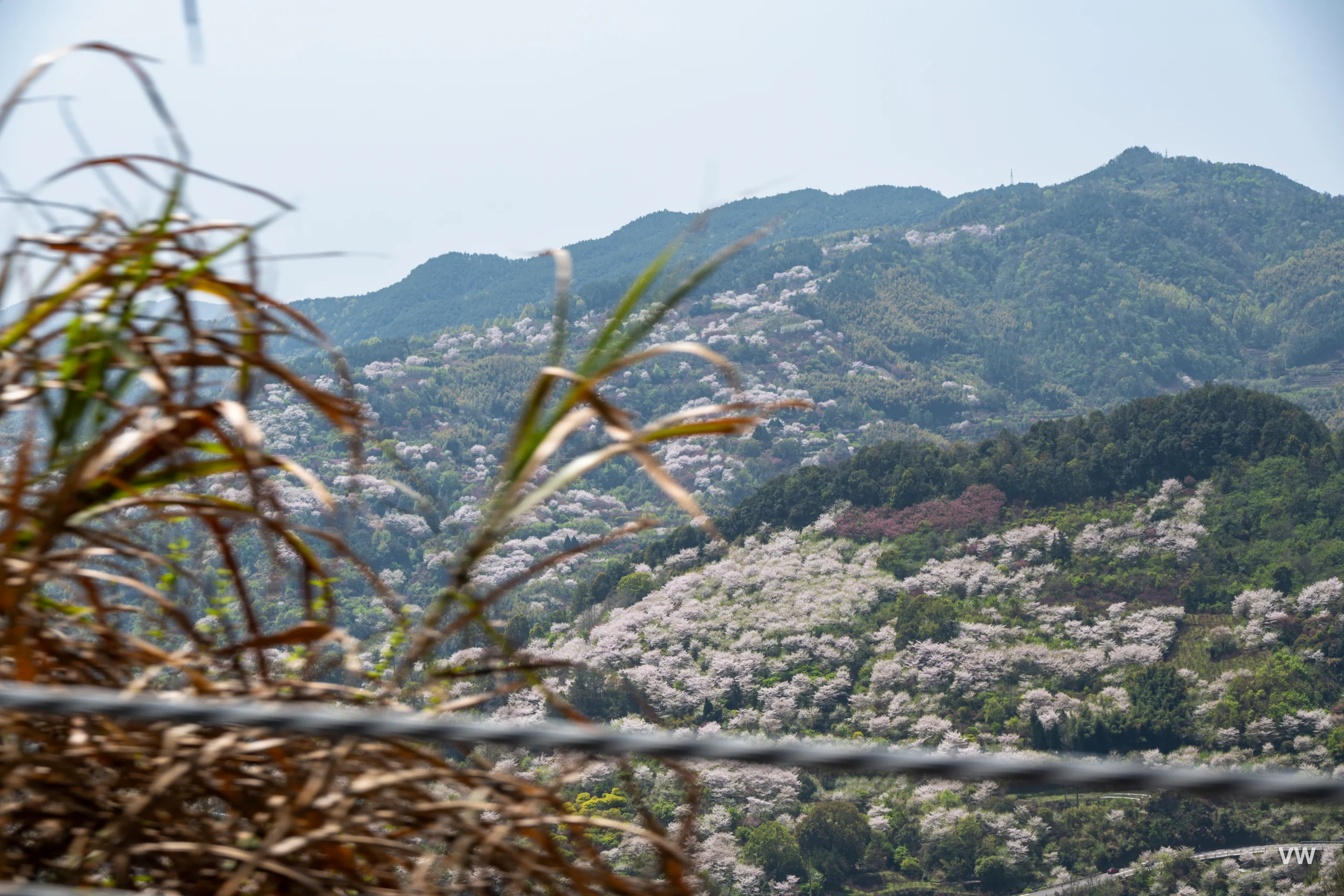 路途上的风景