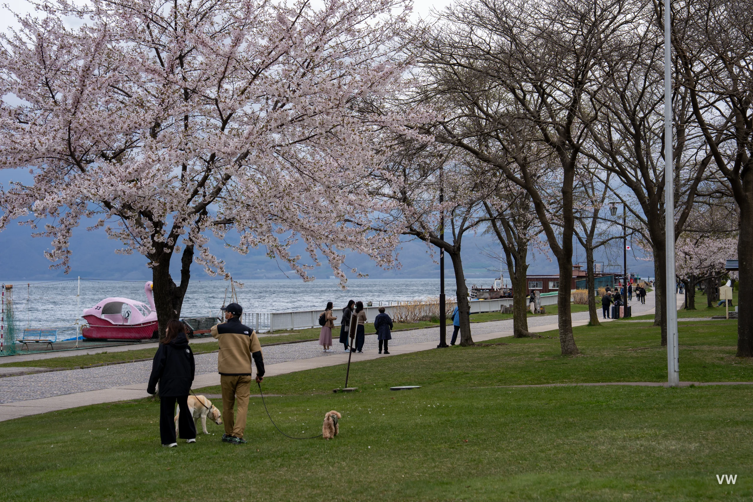 洞爷湖 · 北海道之旅 · 第 65 张照片