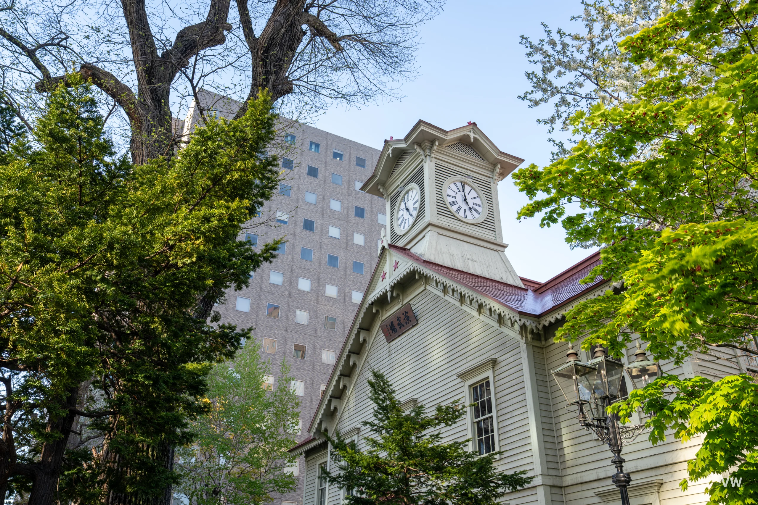 札幌 · 北海道之旅 · 第 50 张照片