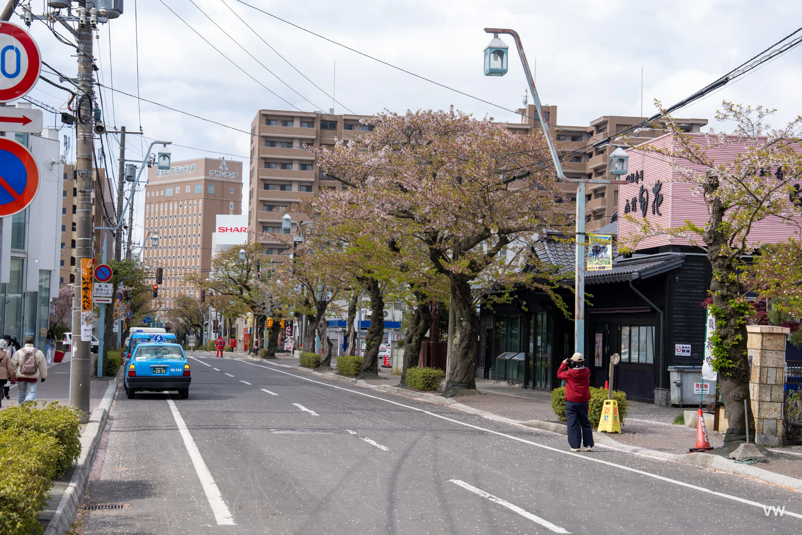 五陵郭公园 · 北海道之旅 · 第 17 张照片